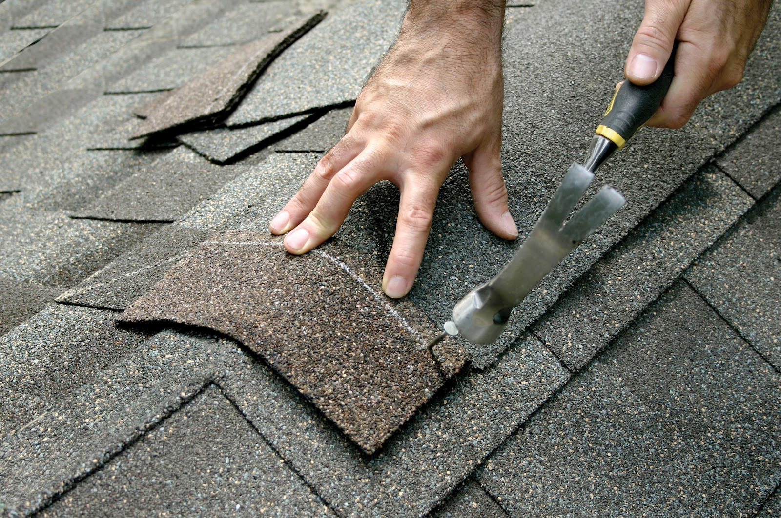 Master Craftsman Virginia Beach Roofers Hands Fastening GAF Shingles With Precision Coastal Nailing Pattern